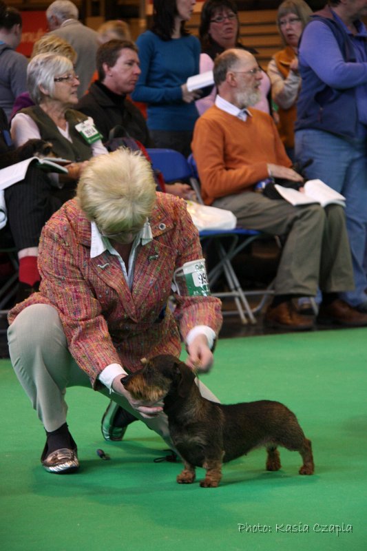 Crufts2010 797.jpg